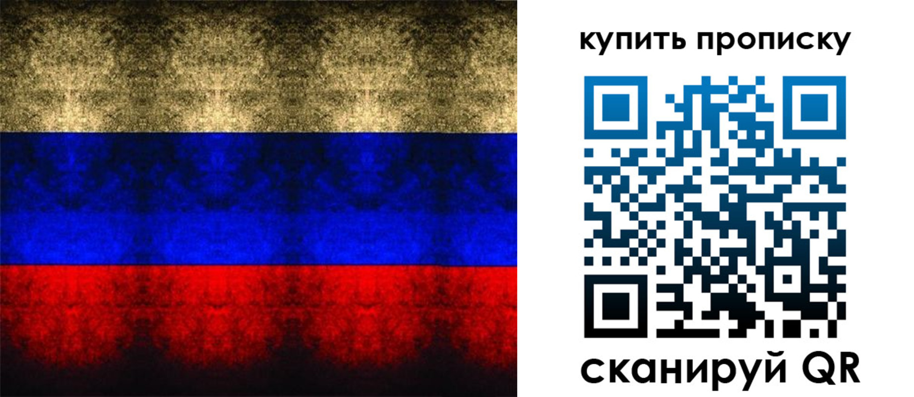 прописка в Пионерском